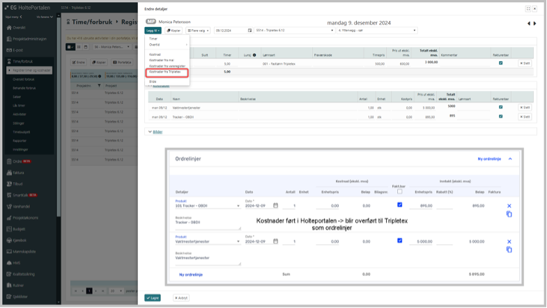 Kostnader fra Tripletex